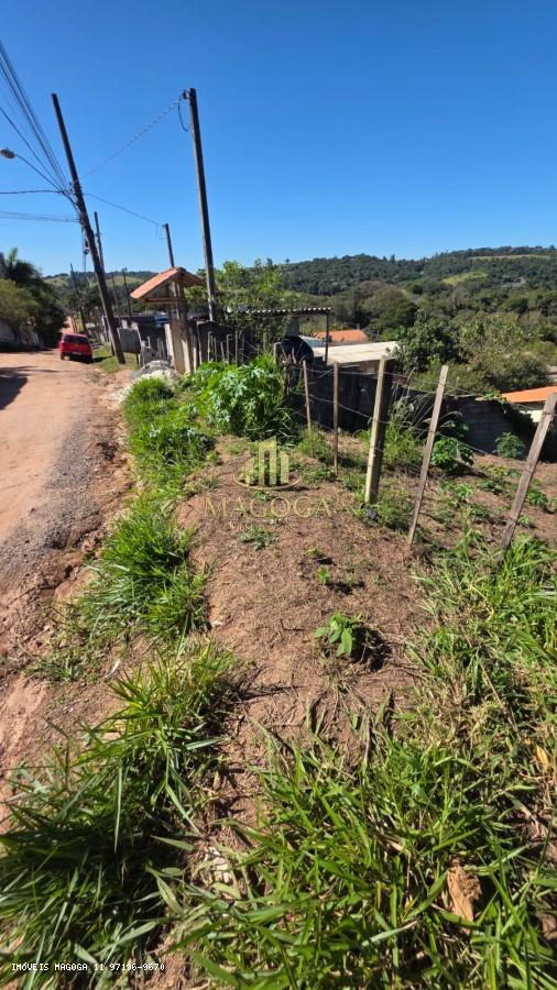 Terreno, 260 m² - Foto 5
