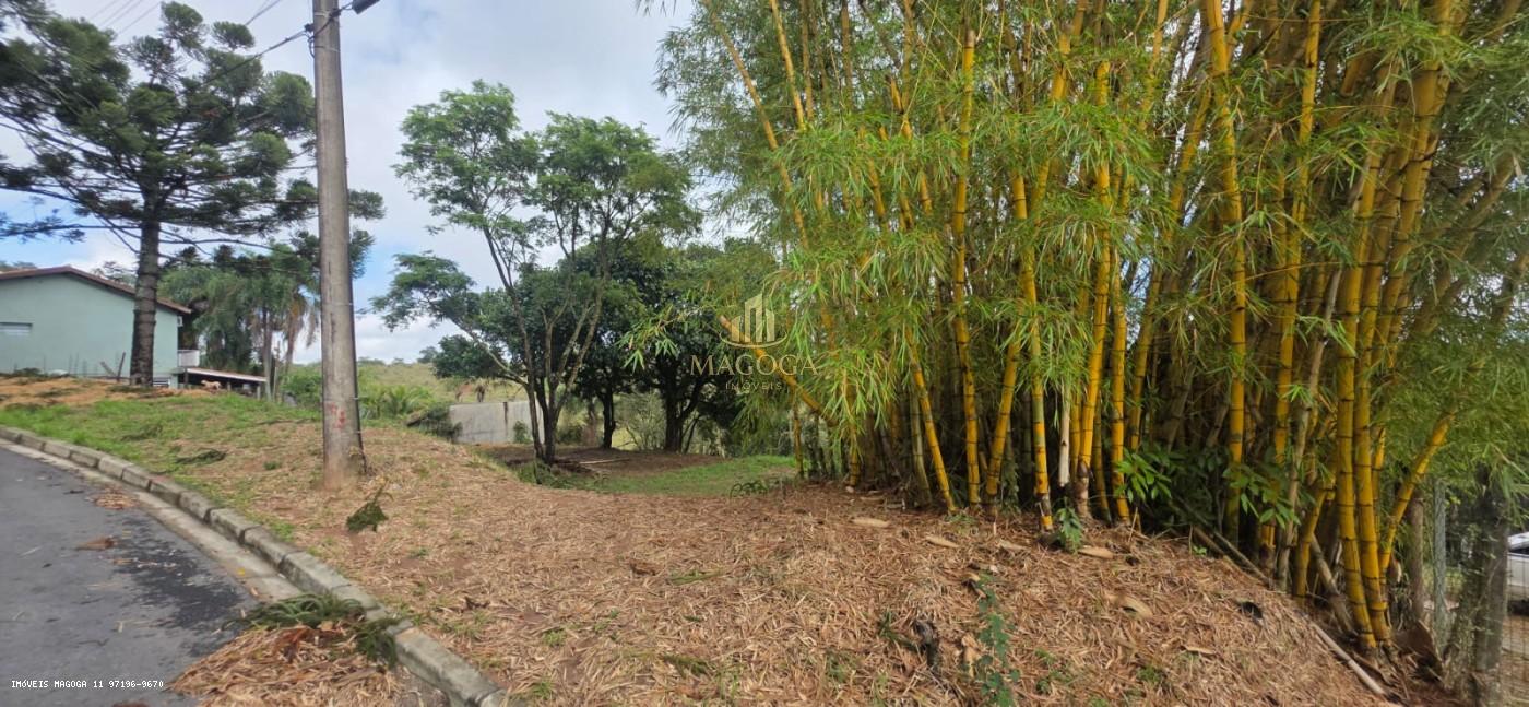 Terreno, 2064 m² - Foto 3