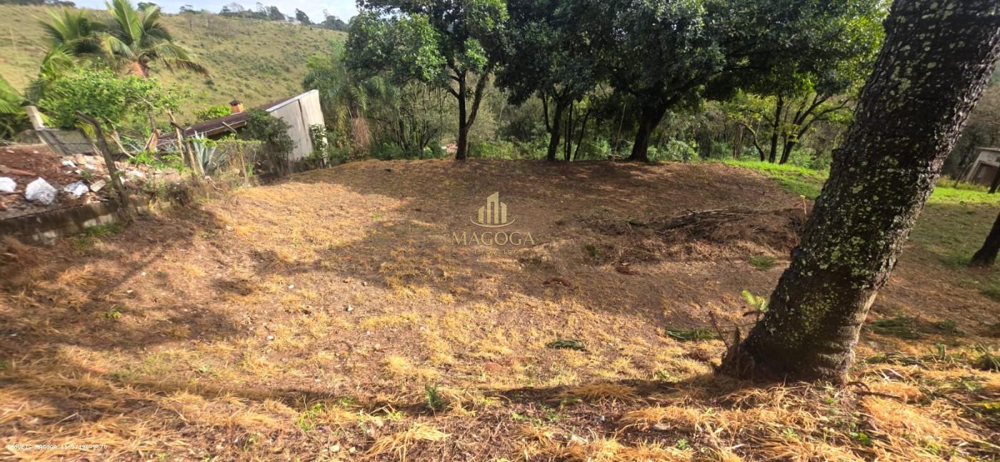 Terreno, 2064 m² - Foto 8