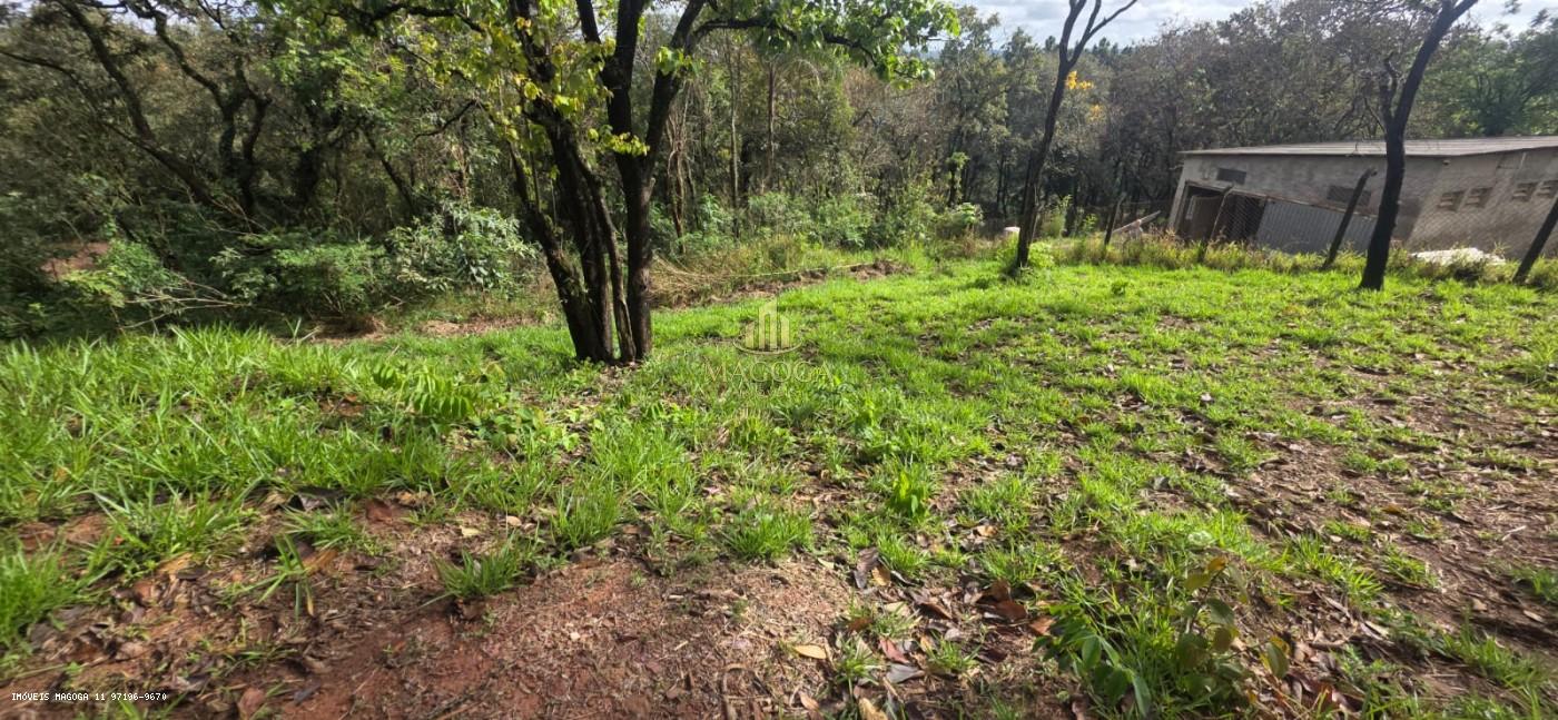 Terreno, 2064 m² - Foto 9